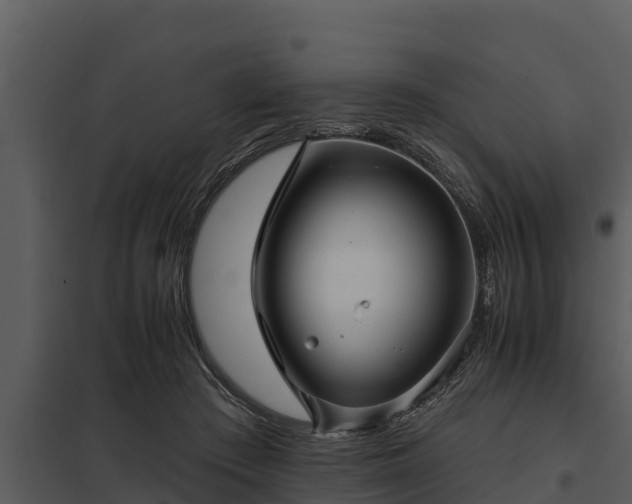 X0000097950409200804011639