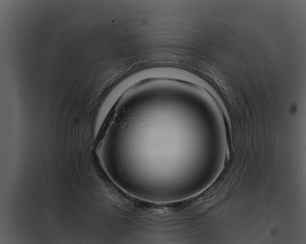 X0000097950411200804011639