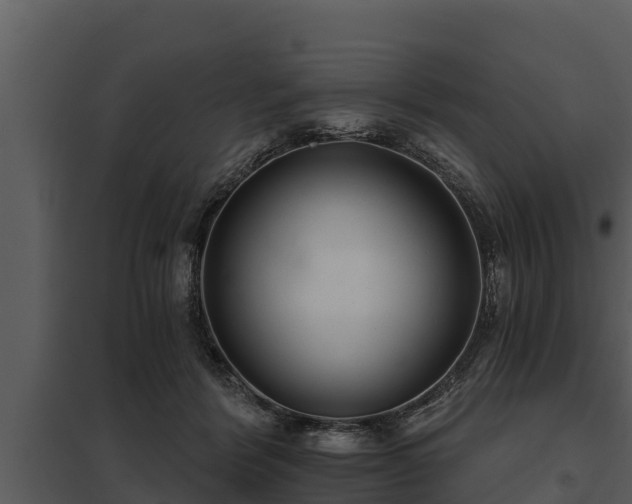 X0000097950412200804011639