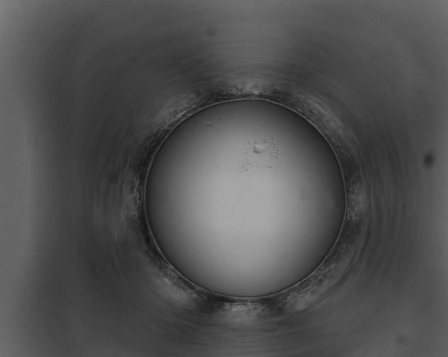 X0000097950414200804011639