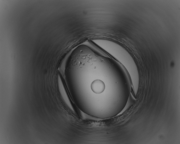 X0000097950415200804011639