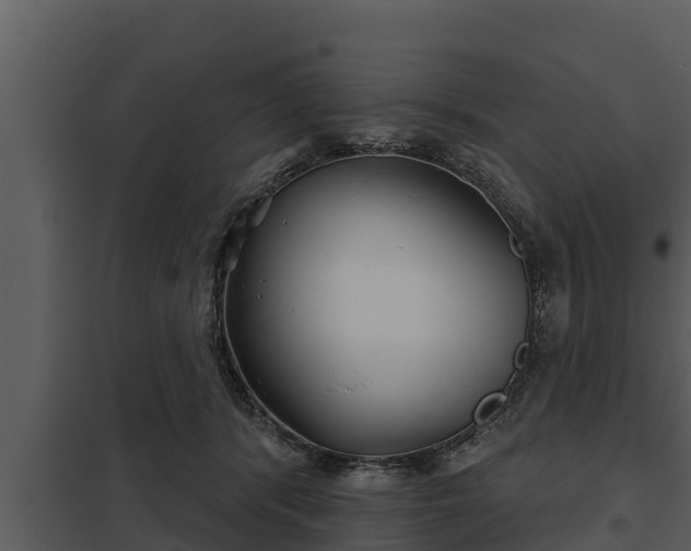 X0000097950416200804011639
