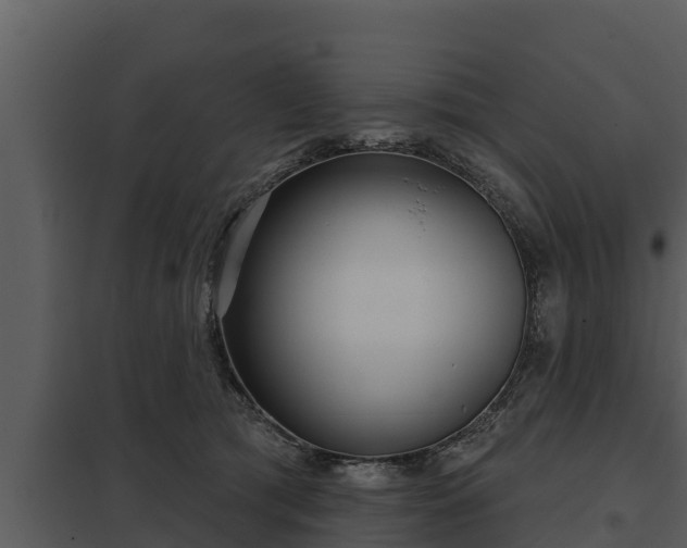 X0000097950417200804011639