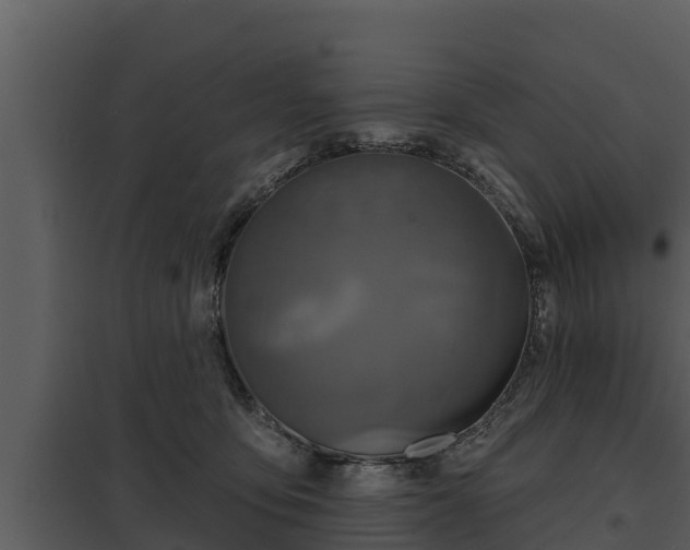 X0000097950419200804011639