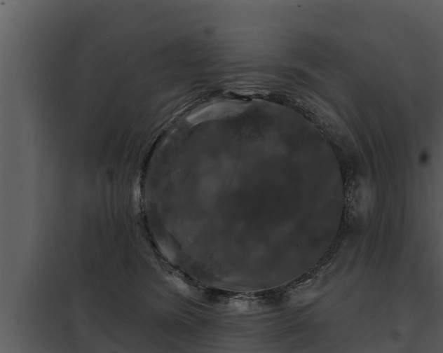 X0000097950420200804011639
