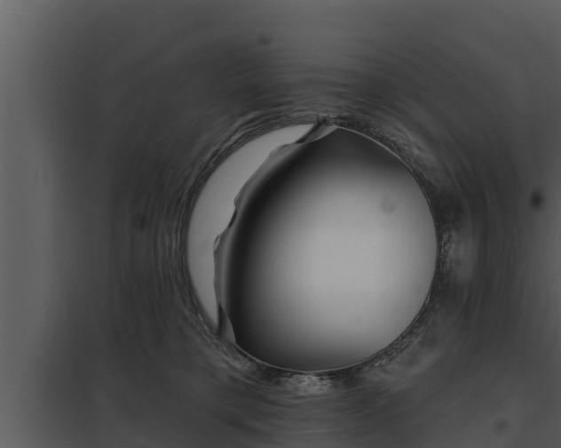 X0000097950421200804011639