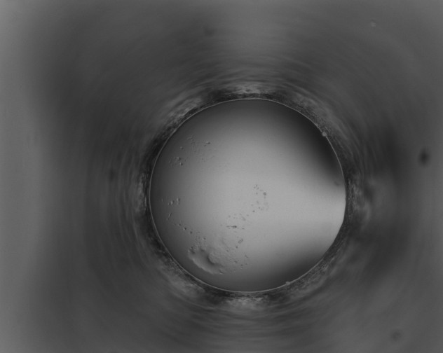 X0000097950422200804011639