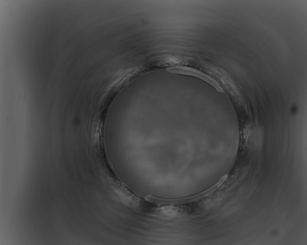 X0000097950423200804011639
