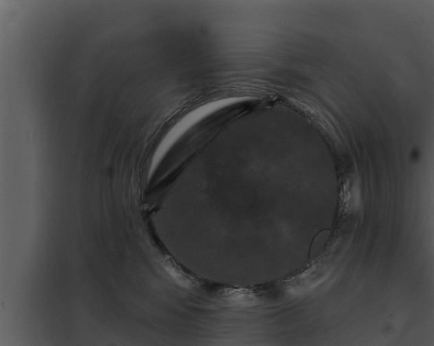 X0000097950424200804011639