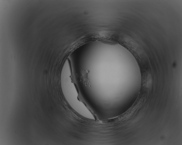 X0000097950425200804011639