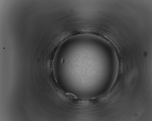 X0000097950428200804011639