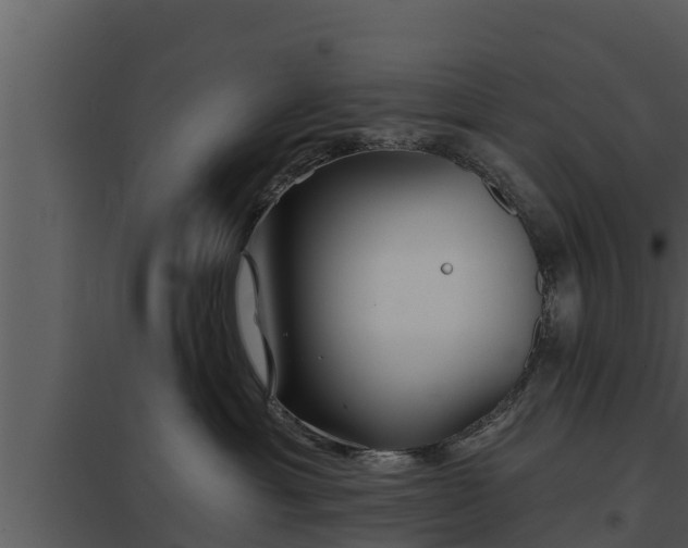 X0000097950429200804011639