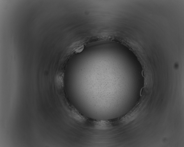 X0000097950432200804011639