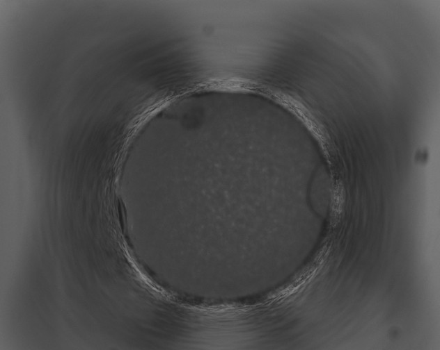 X0000097950433200804011638