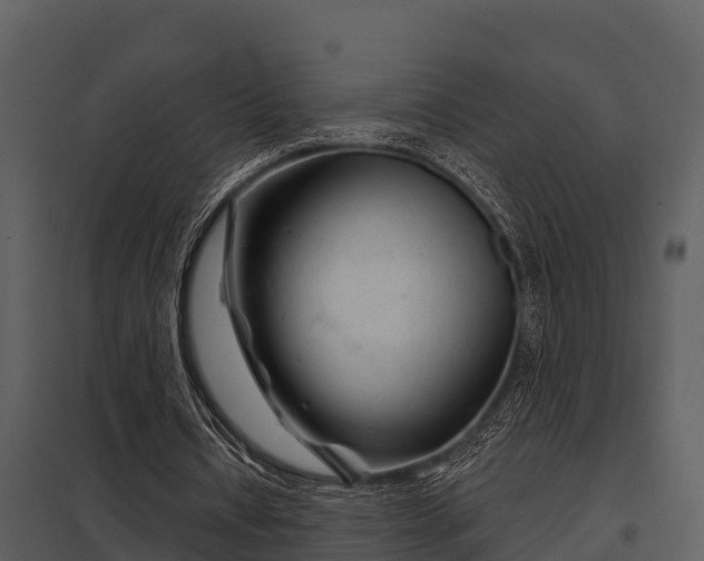 X0000097950434200804011638