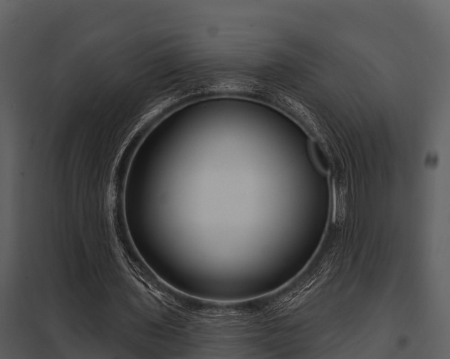 X0000097950435200804011638