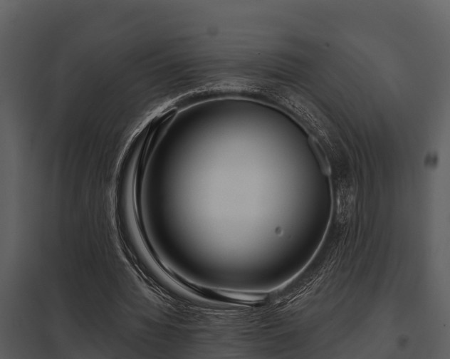 X0000097950436200804011638