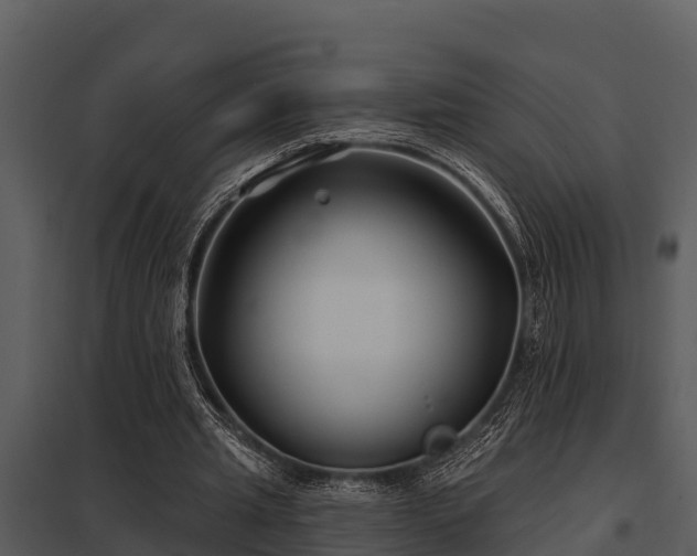X0000097950437200804011638