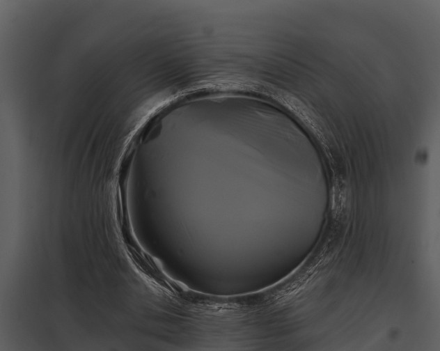 X0000097950438200804011638