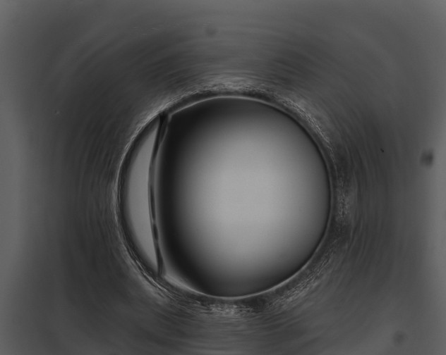 X0000097950439200804011638