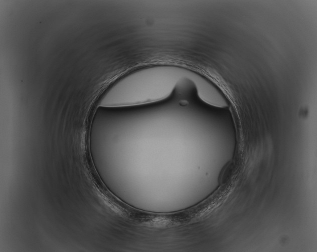 X0000097950441200804011638
