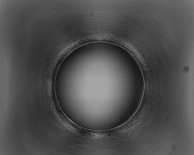 X0000097950442200804011638