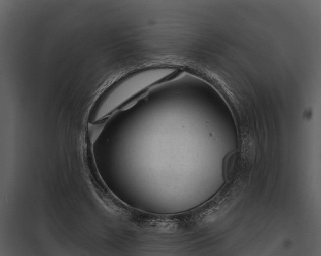 X0000097950443200804011638