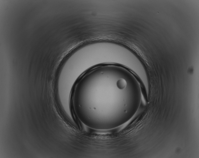 X0000097950444200804011638