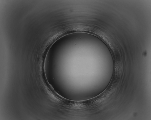 X0000097950445200804011638