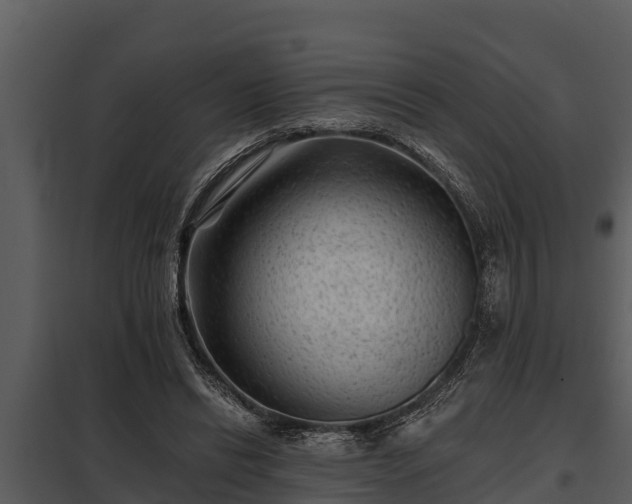 X0000097950446200804011638