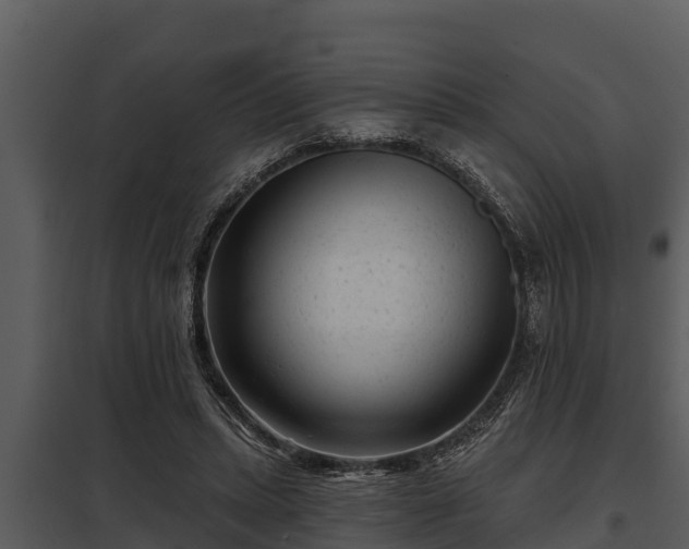 X0000097950447200804011638