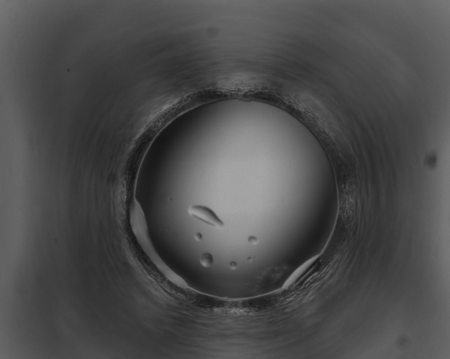 X0000097950448200804011638