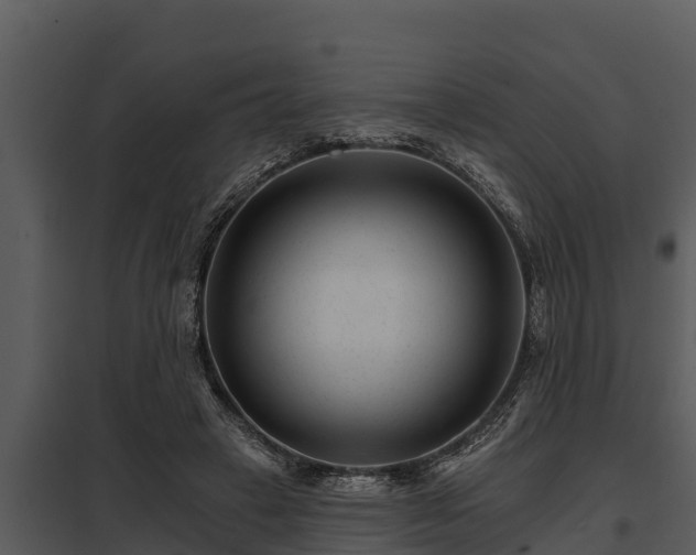 X0000097950449200804011638