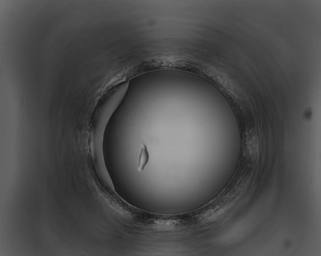 X0000097950450200804011638