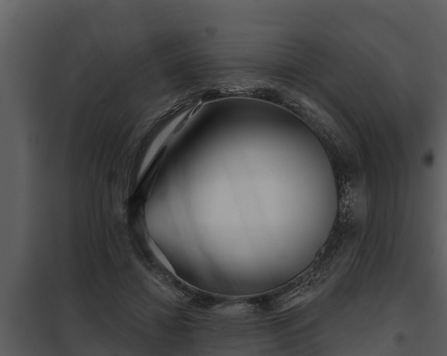 X0000097950452200804011639