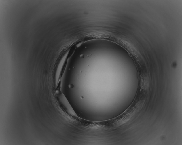 X0000097950453200804011639