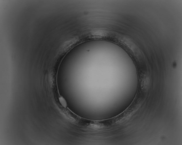 X0000097950455200804011639