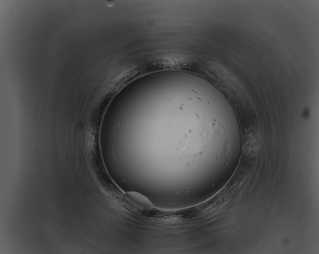 X0000097950456200804011639
