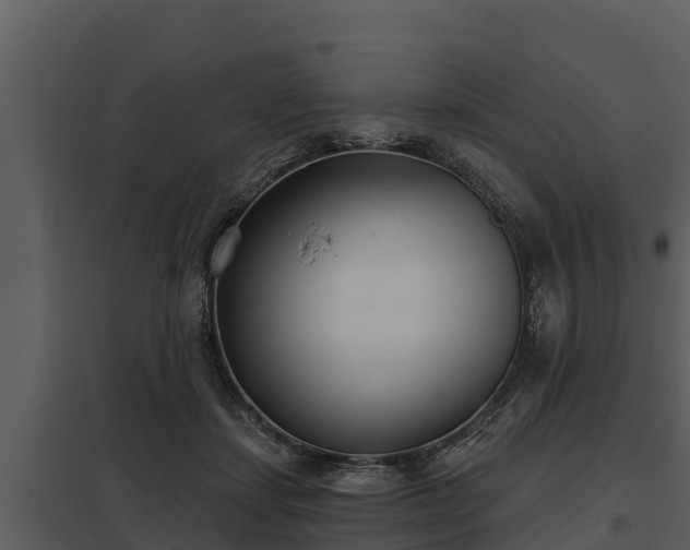 X0000097950459200804011639