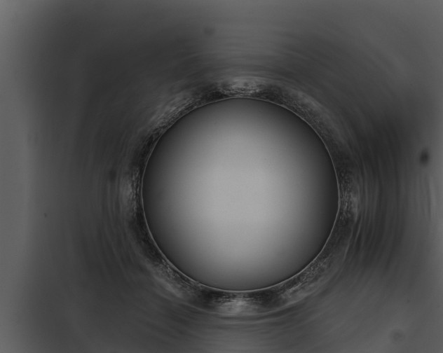 X0000097950460200804011639