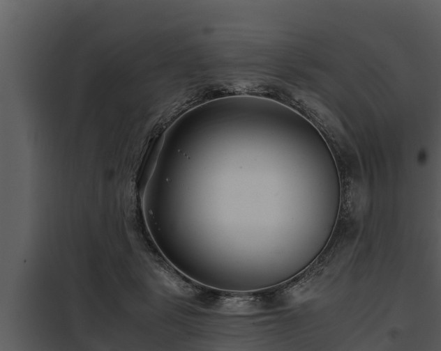 X0000097950461200804011639