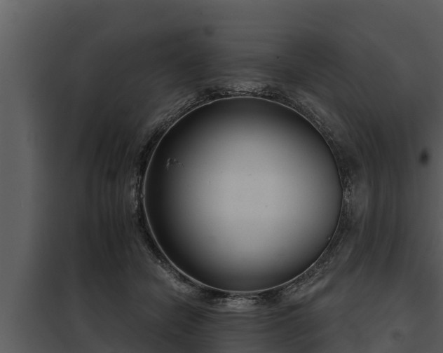 X0000097950462200804011639