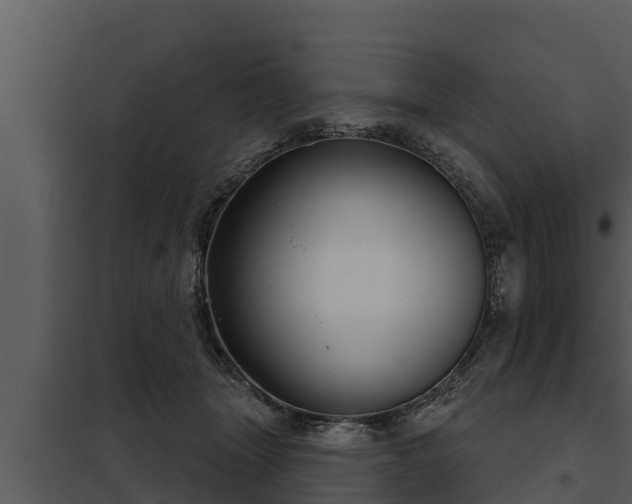 X0000097950463200804011639