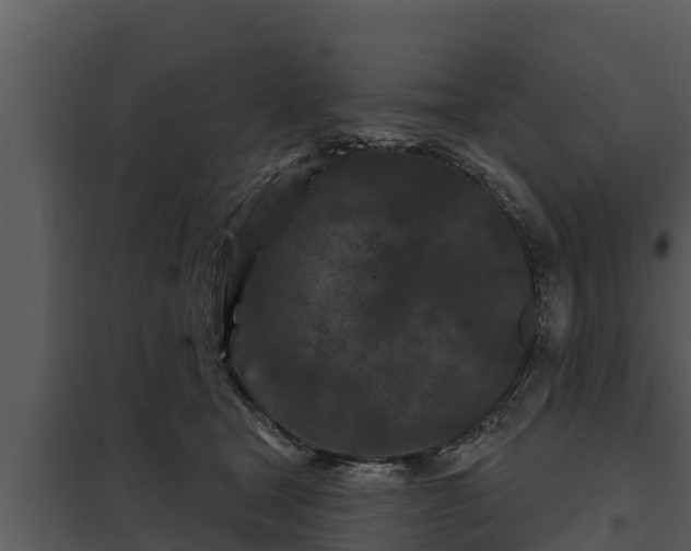 X0000097950465200804011639