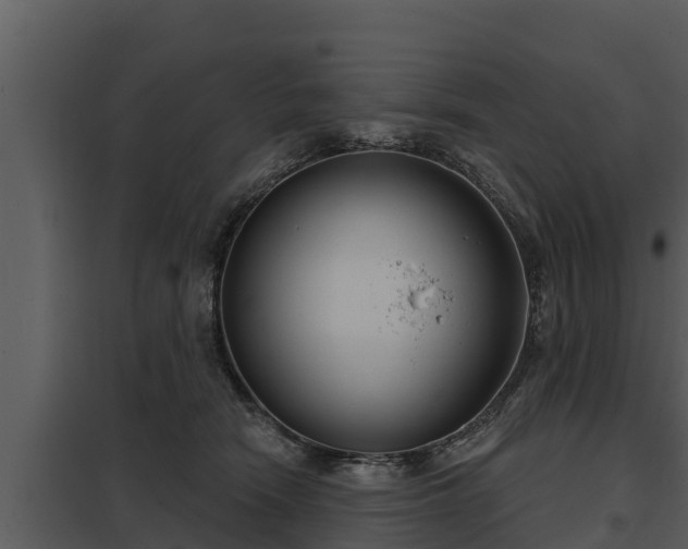X0000097950466200804011639