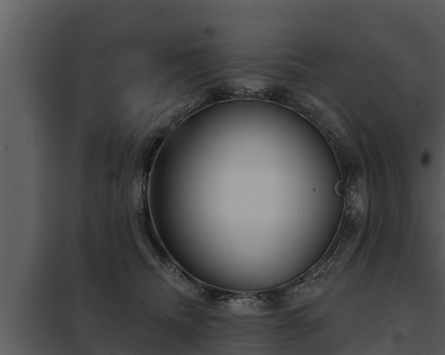 X0000097950468200804011639