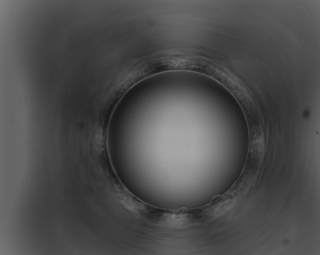 X0000097950469200804011639