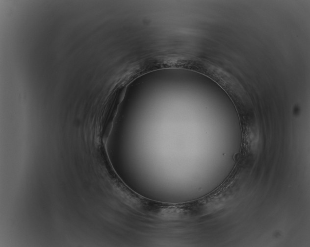 X0000097950470200804011639