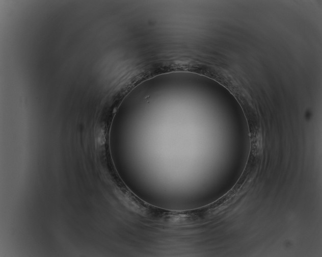 X0000097950472200804011639