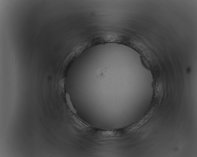X0000097950473200804011639